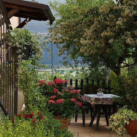 Agriturismo L'Ulivo In Fiore Spoleto Exteriér fotografie