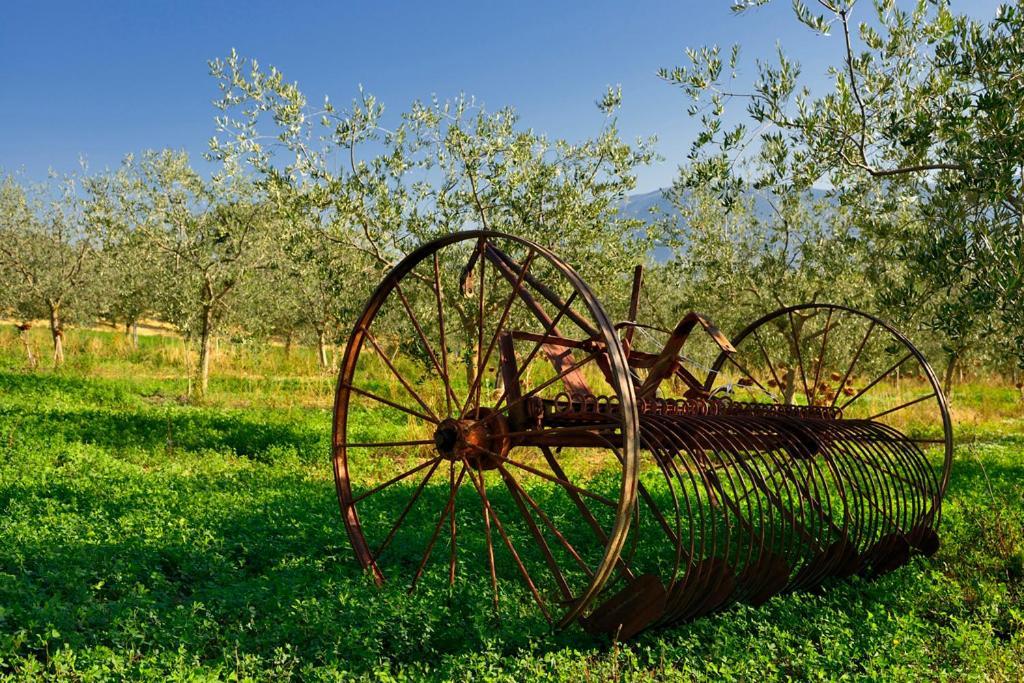 Agriturismo L'Ulivo In Fiore Spoleto Exteriér fotografie