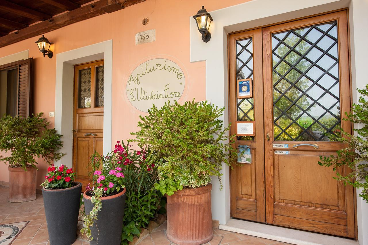 Agriturismo L'Ulivo In Fiore Spoleto Exteriér fotografie